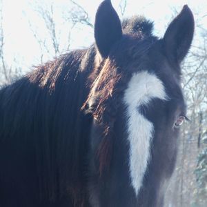 Meet your Posher, Mary ellen